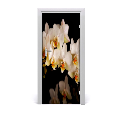 Fototapeta samolepiace orchidea