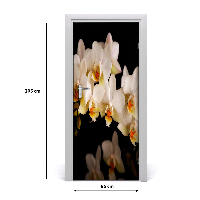 Fototapeta samolepiace orchidea