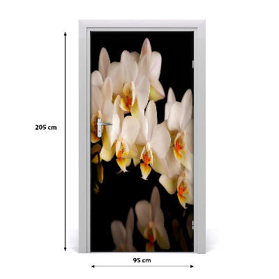 Fototapeta samolepiace orchidea