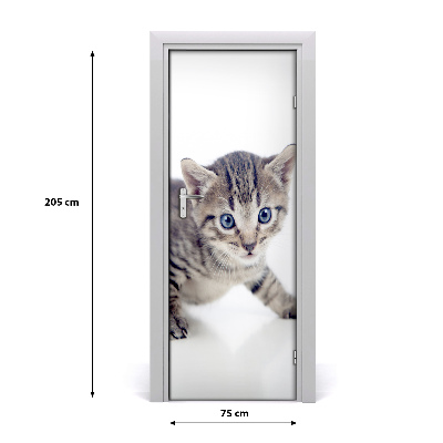 Samolepiace fototapety na dvere malá mačka