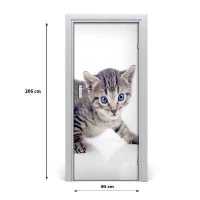 Samolepiace fototapety na dvere malá mačka