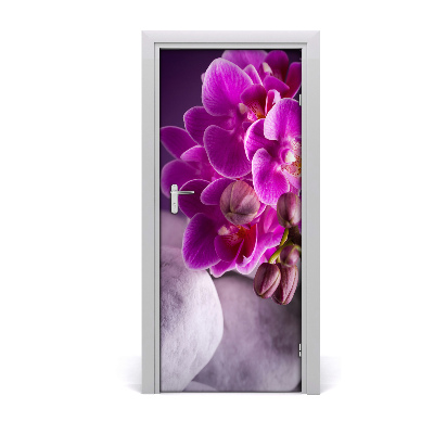 Fototapeta samolepiace ružová orchidea