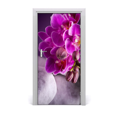 Fototapeta samolepiace ružová orchidea