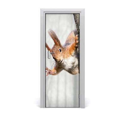 Samolepiace fototapety na dvere Veverička na strome