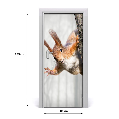 Samolepiace fototapety na dvere Veverička na strome