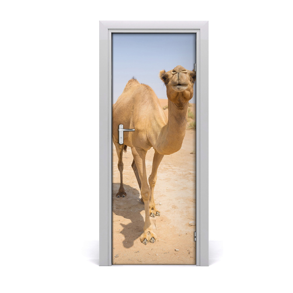 Samolepiace fototapety na dvere Velblou na púšti