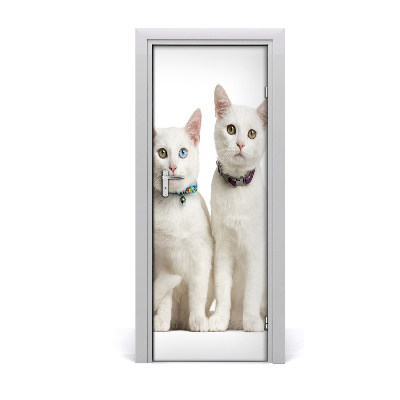 Samolepiace fototapety na dvere Dve biele mačky