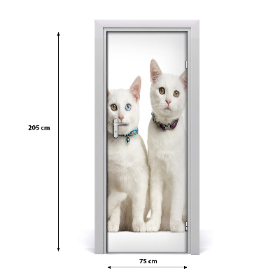 Samolepiace fototapety na dvere Dve biele mačky
