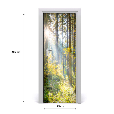 Fototapeta na dvere slnka v lese