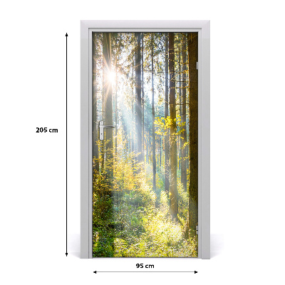 Fototapeta na dvere slnka v lese