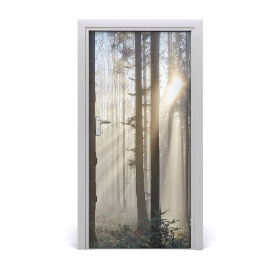 Fototapeta na dvere hmla v lese