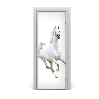 Samolepiace fototapety na dvere Biely kôň v cvale