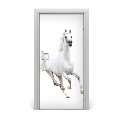 Samolepiace fototapety na dvere Biely kôň v cvale