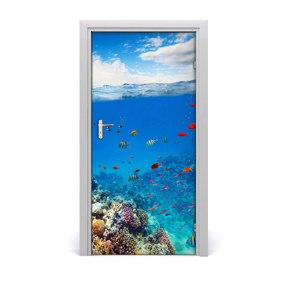 Fototapeta na dvere koralový útes