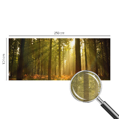 Vliesová tapeta na stenu Lesné ráno