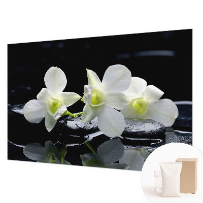 Vliesová fototapeta do obývačky Kvety a kamene