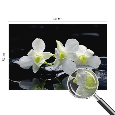 Vliesová fototapeta do obývačky Kvety a kamene