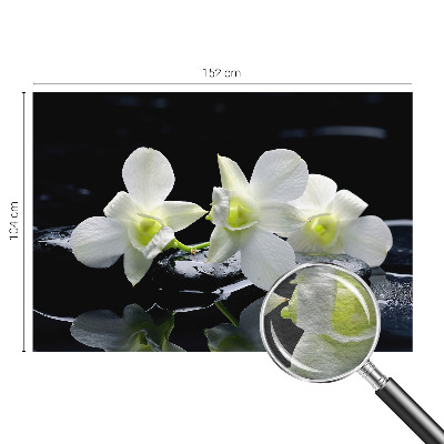 Vliesová fototapeta do obývačky Kvety a kamene