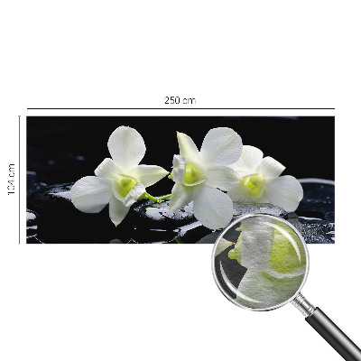 Vliesová fototapeta do obývačky Kvety a kamene