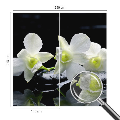 Vliesová fototapeta do obývačky Kvety a kamene