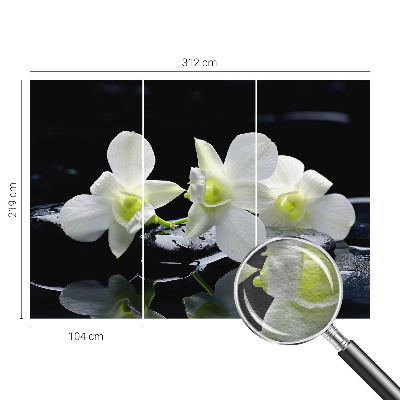 Vliesová fototapeta do obývačky Kvety a kamene