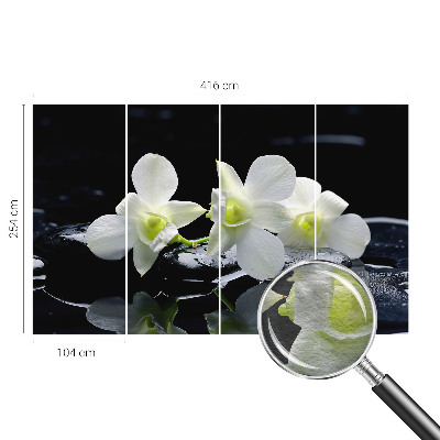 Vliesová fototapeta do obývačky Kvety a kamene