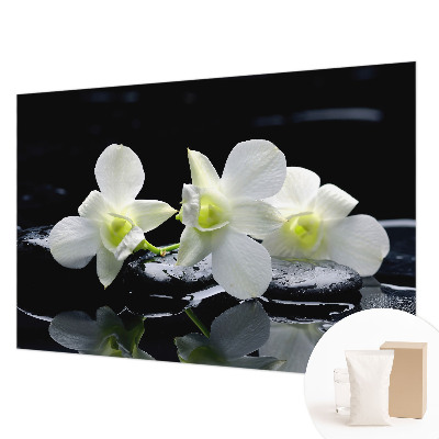 Vliesová fototapeta do obývačky Kvety a kamene