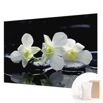 Vliesová fototapeta do obývačky Kvety a kamene