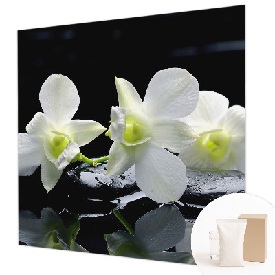 Vliesová fototapeta do obývačky Kvety a kamene