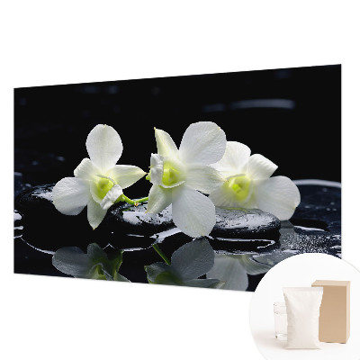 Vliesová fototapeta do obývačky Kvety a kamene