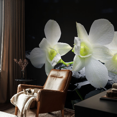 Vliesová fototapeta do obývačky Kvety a kamene