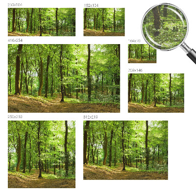 Dekoratívna fototapeta na stenu Prirodzená cesta