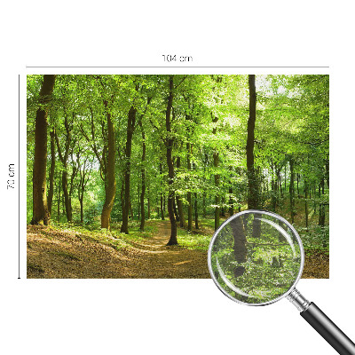 Dekoratívna fototapeta na stenu Prirodzená cesta