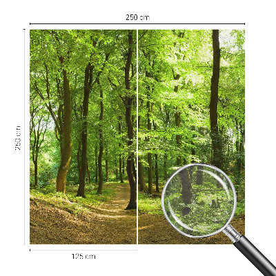 Dekoratívna fototapeta na stenu Prirodzená cesta