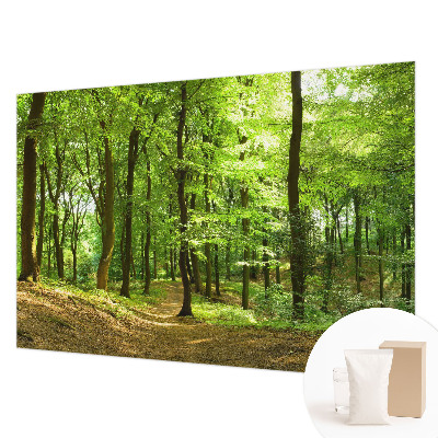 Dekoratívna fototapeta na stenu Prirodzená cesta