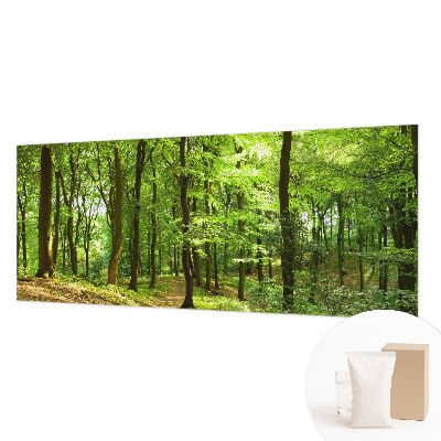 Dekoratívna fototapeta na stenu Prirodzená cesta