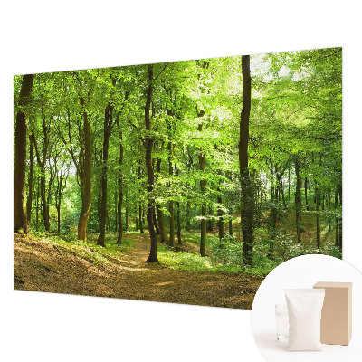 Dekoratívna fototapeta na stenu Prirodzená cesta