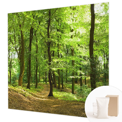 Dekoratívna fototapeta na stenu Prirodzená cesta