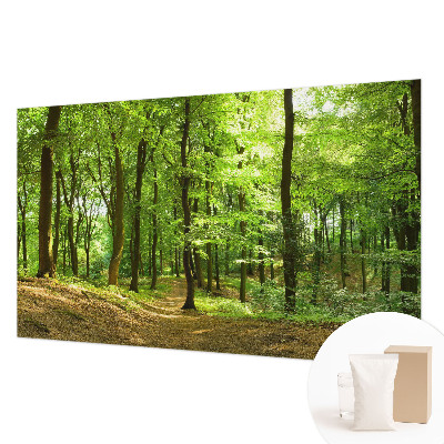 Dekoratívna fototapeta na stenu Prirodzená cesta