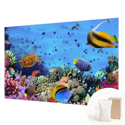 Moderná fototapeta Koralový útes