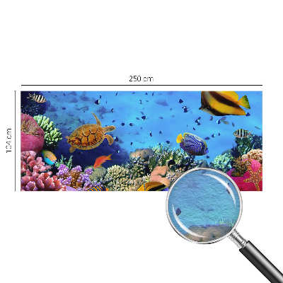 Moderná fototapeta Koralový útes