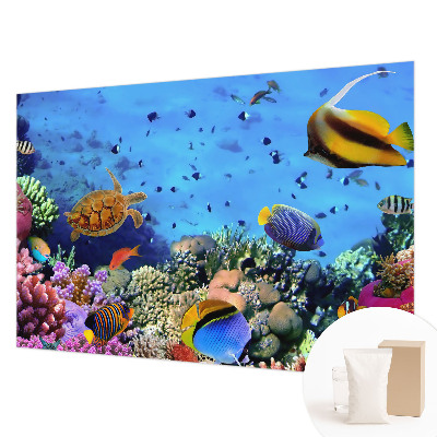 Moderná fototapeta Koralový útes