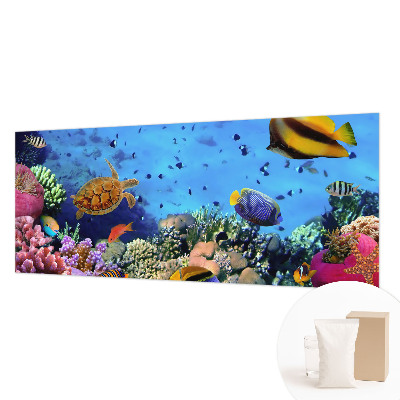 Moderná fototapeta Koralový útes