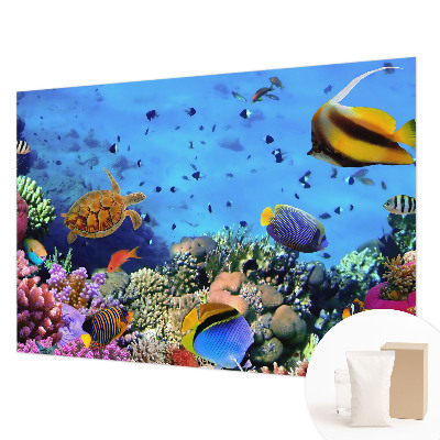 Moderná fototapeta Koralový útes