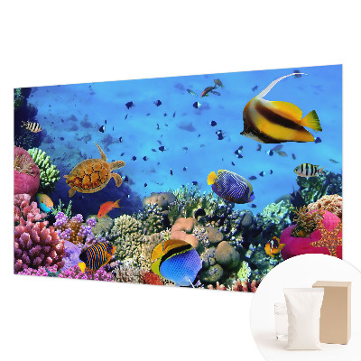 Moderná fototapeta Koralový útes