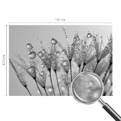 Fotografická tapeta na vliese Mokrá pochúťka