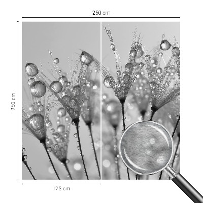 Fotografická tapeta na vliese Mokrá pochúťka