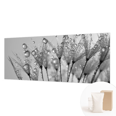 Fotografická tapeta na vliese Mokrá pochúťka