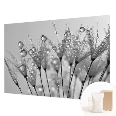 Fotografická tapeta na vliese Mokrá pochúťka