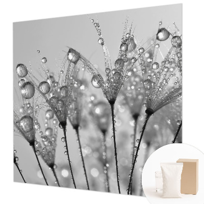 Fotografická tapeta na vliese Mokrá pochúťka